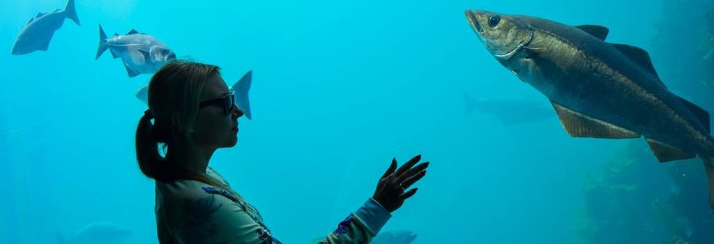 Oceanarium w Alesund